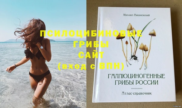 бошки Нягань