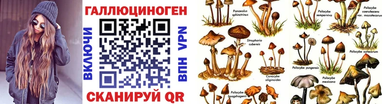 Галлюциногенные грибы Cubensis  Грозный 