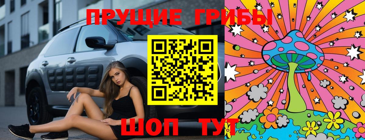 Псилоцибиновые грибы мухоморы  закладка  Грозный 