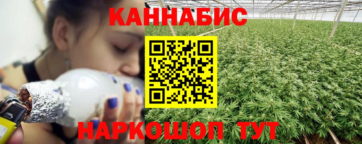 Конопля White Widow  Канабис семена  Канабис THC 21%  Вход с VPN  Грозный 